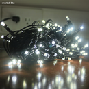 Christmas Light BH-XM-10044