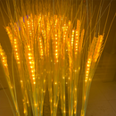 Flower Wheat BH-FW-1524V