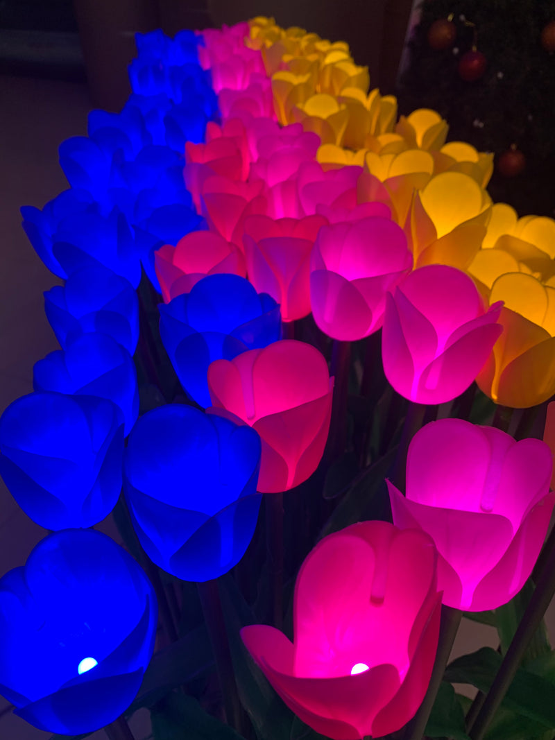 Flower Tulips BH-FT-824V