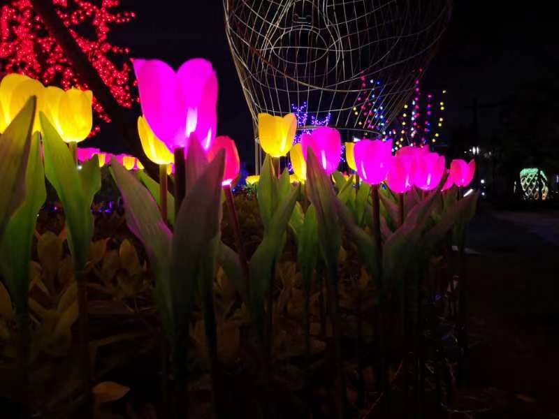 Flower Tulips BH-FT-824V