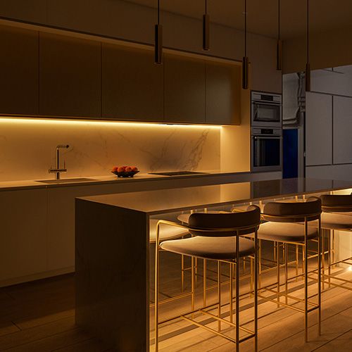 Strip Lights LY480-COBE430