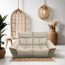 Feather 2 Seater Recliner