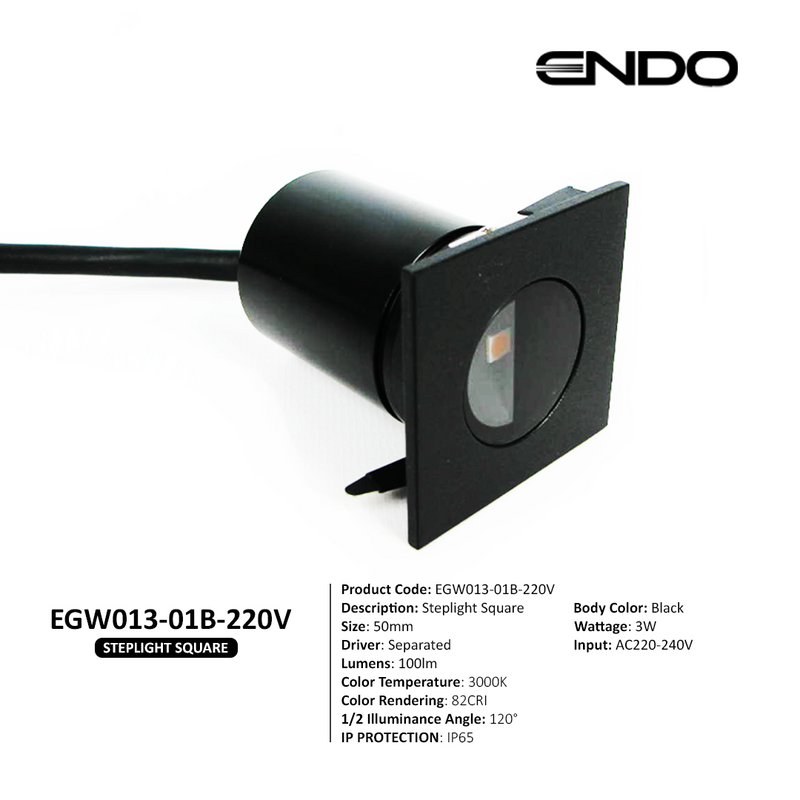 ENDO EGW013-01B