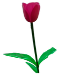 Flower Tulips BH-FT-824V